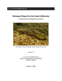 Ozark Hellbender Biological Report