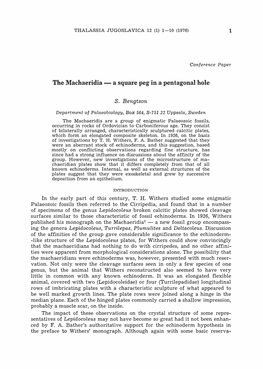 The Machaeridia – a Square Peg in a Pentagonal Hole