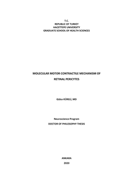 Molecular Motor Contractile Mechanism of Retinal Pericytes