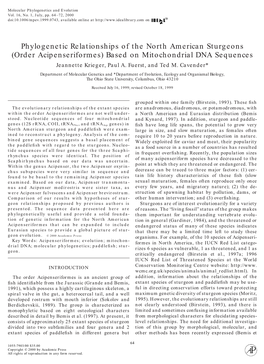 Based on Mitochondrial DNA Sequences Jeannette Krieger, Paul A