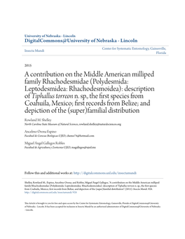 Polydesmida: Leptodesmidea: Rhachodesmoidea): Description of Tiphallus Torreon N