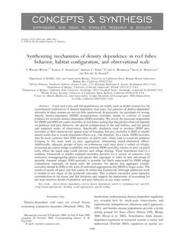 Concepts & Synthesis