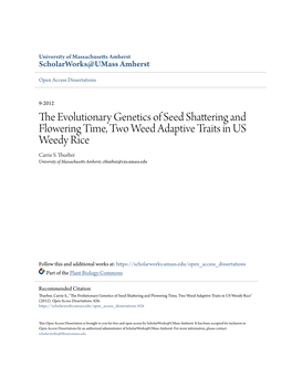 The Evolutionary Genetics of Seed Shattering and Flowering Time, Two Weed Adaptive Traits in Us Weedy Rice