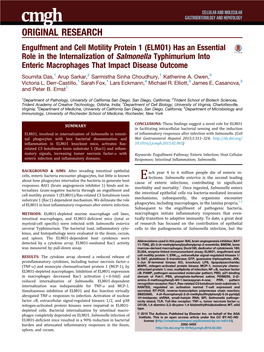 Engulfment and Cell Motility Protein 1 (ELMO1)