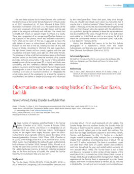 Observations on Some Nesting Birds of the Tso-Kar Basin, Ladakh