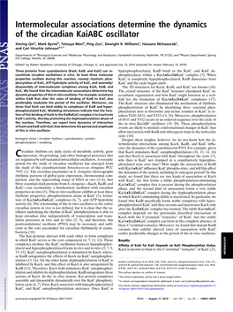 Intermolecular Associations Determine the Dynamics of the Circadian Kaiabc Oscillator