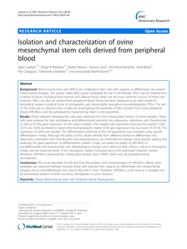 Isolation and Characterization of Ovine Mesenchymal Stem Cells Derived