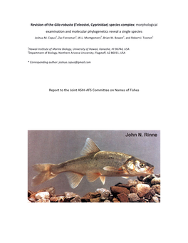 Revision of the Gila Robusta (Teleostei, Cyprinidae) Species Complex: Morphological Examination and Molecular Phylogenetics Reveal a Single Species Joshua M