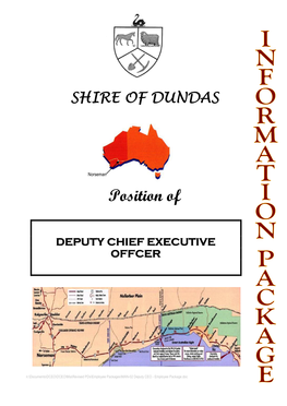 Position of DEPUTY CHIEF EXECUTIVE OFFCER