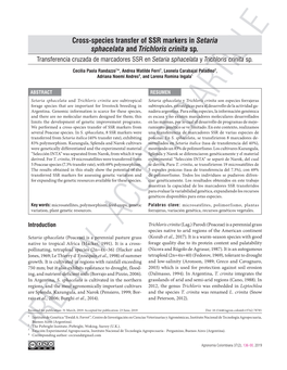 Cross-Species Transfer of SSR Markers in Setaria Sphacelata and Trichloris Crinita Sp