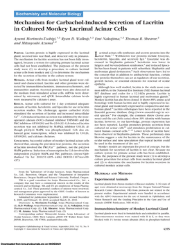 Mechanism for Carbachol-Induced Secretion of Lacritin in Cultured Monkey Lacrimal Acinar Cells