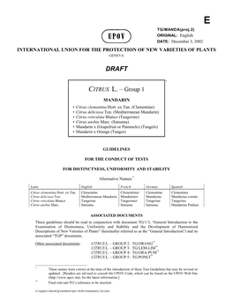 CITRUS L. – Group 1