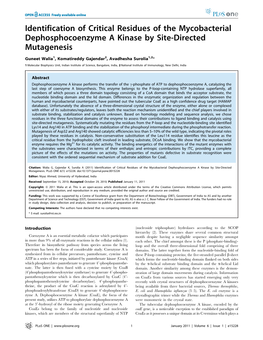 Identification of Critical Residues of the Mycobacterial Dephosphocoenzyme a Kinase by Site-Directed Mutagenesis