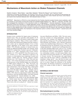 Mechanisms of Maurotoxin Action on Shaker Potassium Channels