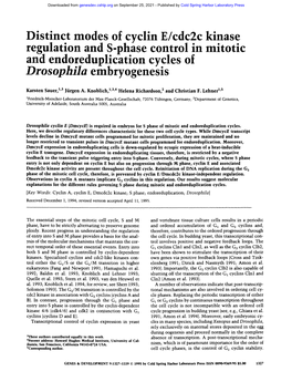 Distinct Modes of Cyclin E/Cdc2c Kinase Regulation and S-Phase Control in Mitotic and Endoreduplication Cycles of Drosophila Embryogenesis