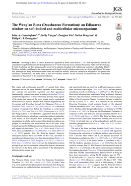 Doushantuo Formation): an Ediacaran Window on Soft-Bodied and Multicellular Microorganisms