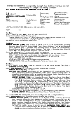 (J. Levins) the Property of Curragh Stud Racing Syndicate Will Stand at Coronation Stables, Yard A, Box 2