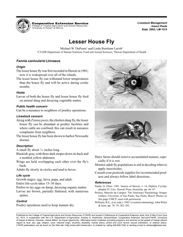 Lesser House Fly Michael W