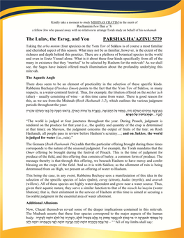 The Lulav, the Esrog, and You PARSHAS HA'azinu 5779