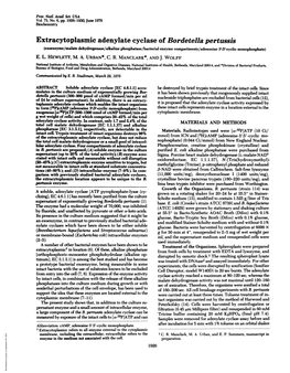 Extracytoplasmic Adenylate Cyclase of Bordetella Pertussis