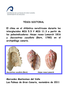 El Clima En El Atlántico Norafricano Durante Los Interglaciales MIS 5.5 Y MIS 11.3 a Partir De Los Paleoindicadores "Harpa