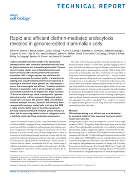 Rapid and Efficient Clathrin-Mediated Endocytosis Revealed in Genome-Edited Mammalian Cells