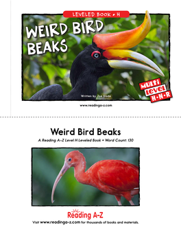 Weird Bird Beaks