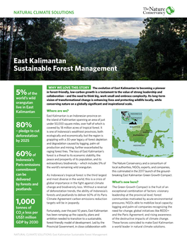 East Kalimantan Sustainable Forest Management © NICK HALL