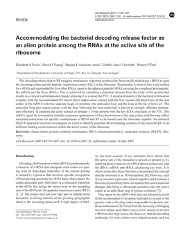 Accommodating the Bacterial Decoding Release Factor As an Alien Protein Among the Rnas at the Active Site of the Ribosome