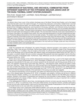 Comparison of Bacterial and Archaeal Communities from Different Habitats of the Hypogenic Molnár János Cave of the Buda Thermal Karst System (Hungary)