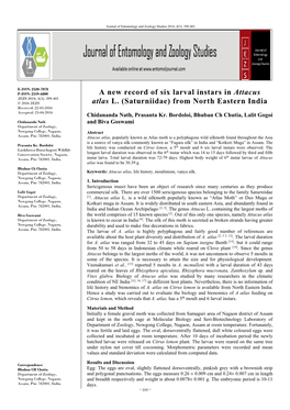 A New Record of Six Larval Instars in Attacus Atlas L. (Saturniidae) From