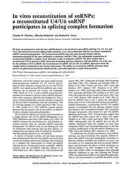 A Reconstituted U4/U6 Snrnp Participates in Splicing Complex Formation