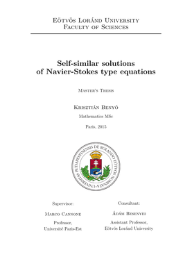 Self-Similar Solutions of Navier-Stokes Type Equations