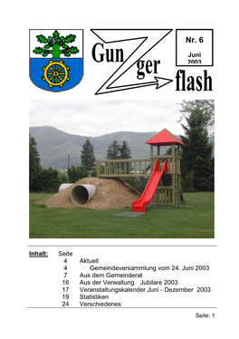 Gunzger Flash 06