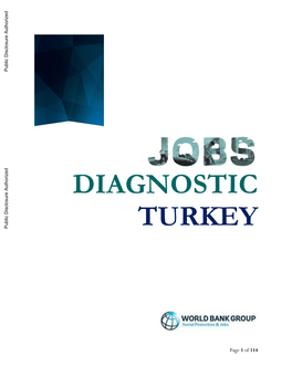 Jobs-Diagnostic-Turkey.Pdf