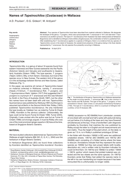 Names of Tapeinochilos (Costaceae) in Wallacea
