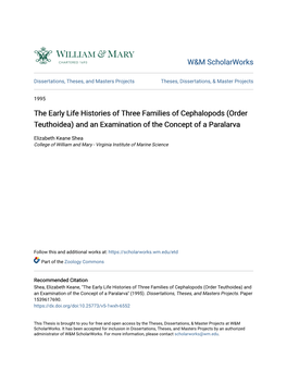 The Early Life Histories of Three Families of Cephalopods (Order Teuthoidea) and an Examination of the Concept of a Paralarva