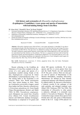 Lepidoptera: Crambidae): a New Genus and Species of Musotimine with Leaf-Mining Biology from Costa Rica