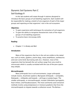 Dynamic Soil Systems