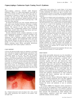 Capnocytophaga Canimorsus Sepsis Causing Sweet's Syndrome