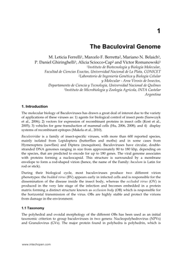 The Baculoviral Genome