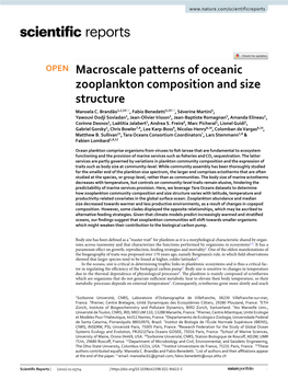 Macroscale Patterns of Oceanic Zooplankton Composition and Size Structure Manoela C