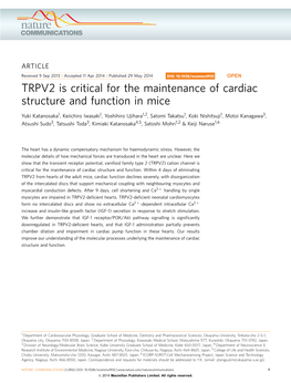 TRPV2 Is Critical for the Maintenance of Cardiac Structure and Function in Mice