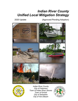 Indian River County Local Mitigation Strategy 2020 Approved Plan