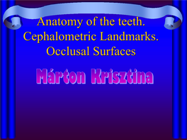 Anatomy of the Teeth. Cephalometric Landmarks. Occlusal Surfaces Signing of Teeth • Zsigmondy’S Cross: – J 87654321/12345678 B 87654321/12345678 1/ , /6 , 8/, /3