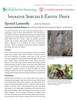 Spotted Lanternfly.Pdf