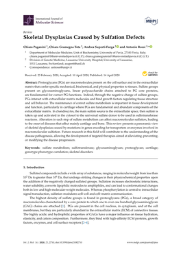 Skeletal Dysplasias Caused by Sulfation Defects