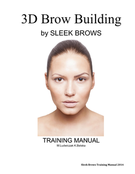 3D Brow Building