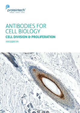 Cell Biology: Cell Division and Proliferation