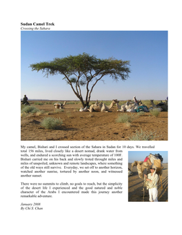 Sudan Camel Trek Crossing the Sahara